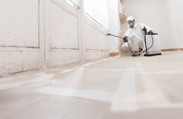 24/7 Emergency Mold Testing experts in Newport, OR