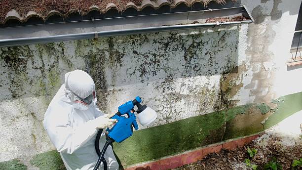 Trusted Mold Testing service in Newport, OR - Cheap Mold Removal